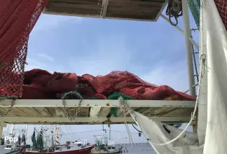 Thumbnail von Rodriguez Boat Builders 81