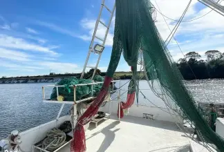 Thumbnail von Commercial boats Shrimp 82 IQF