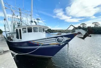 Thumbnail von Commercial boats Shrimp 82 IQF