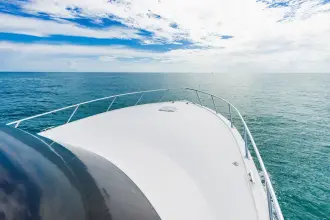 Thumbnail von Viking 46 Bill Fish Ram Slam