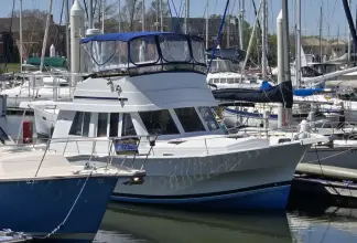 Thumbnail von Mainship 390 Moon Dance