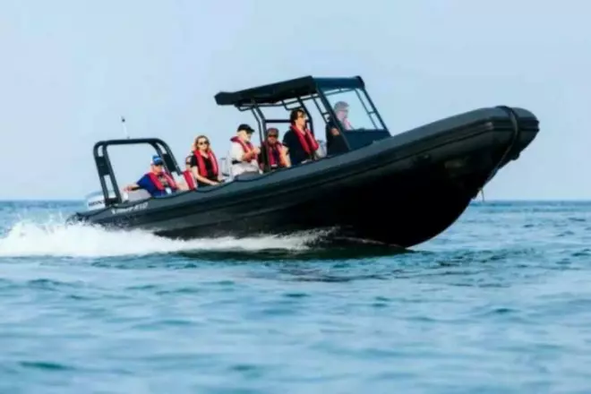 Highfield Patrol 860