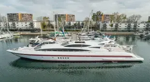 Mangusta 105