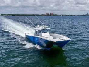 Thumbnail von Freeman 47