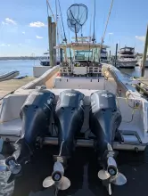 Thumbnail von Grady White 366 Canyon