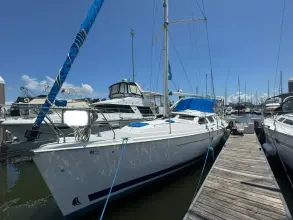 Thumbnail von Hunter 44 DS Chemistry