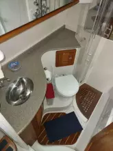 Thumbnail von Glacier 3490 Flybridge Power Cat OCELOT