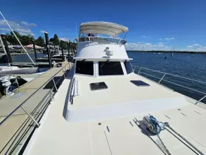 Thumbnail von Maine Cat Power Cat 47 Audrey Louisa