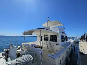 Thumbnail von Maine Cat Power Cat 47 Audrey Louisa