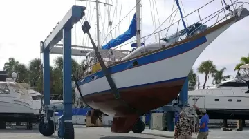 Thumbnail von Dutch Barge 49