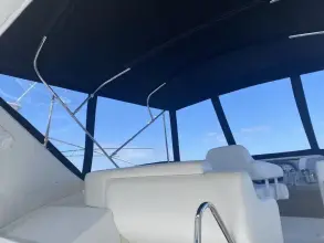 Thumbnail von Carver 396 Motor Yacht