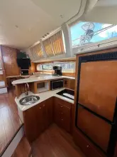 Thumbnail von Carver 396 Motor Yacht