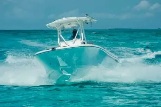 Edgewater 245 CC