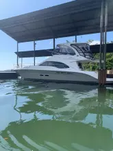 Thumbnail von Sea Ray 52 Sedan Bridge