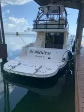 Thumbnail von Sea Ray 52 Sedan Bridge