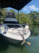 Thumbnail von Sea Ray 52 Sedan Bridge