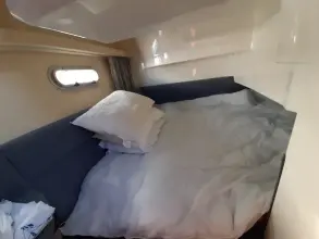 Thumbnail von Sealine F34 Islay Mist