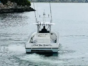 Thumbnail von Seavee 39