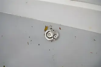 Thumbnail von Rafnar Boats 8.5