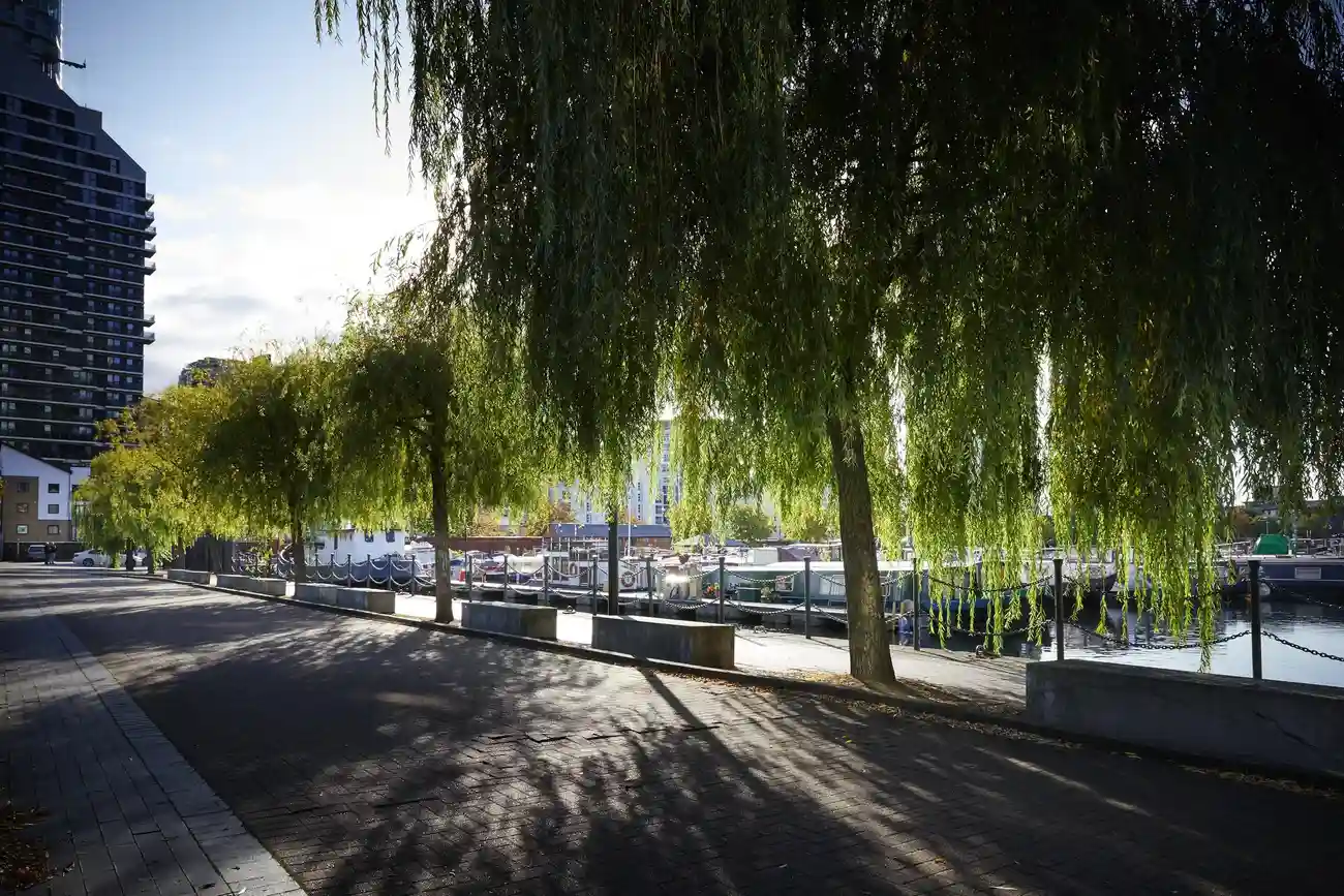 Thumbnail von Waterlodge Three Oasis Three Waterlodge