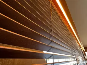 Thumbnail von Trader 42