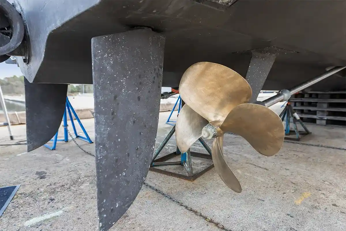 Thumbnail von Princess 50