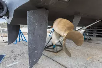 Thumbnail von Princess 50