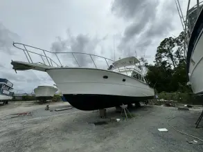 Thumbnail von Ricker 48 Convertible