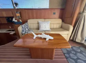 Thumbnail von Silverton 45 Convertible