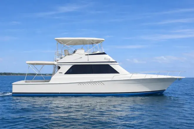 Viking 50 Convertible