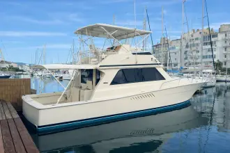 Thumbnail von Viking 50 Convertible