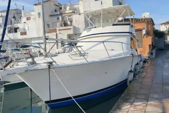 Thumbnail von Viking 50 Convertible
