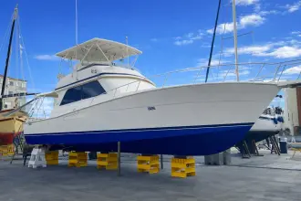 Thumbnail von Viking 50 Convertible