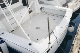 Thumbnail von Viking 50 Convertible