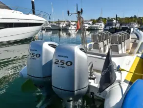 Thumbnail von Scorpion Serket 92 No.10