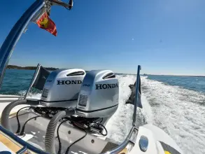 Thumbnail von Scorpion Serket 92 No.10