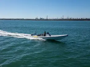 Thumbnail von Scorpion Serket 92 No.10