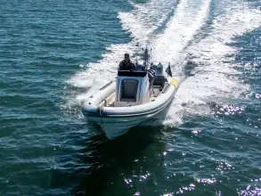 Thumbnail von Scorpion Serket 92 No.10