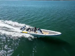 Thumbnail von Scorpion Serket 92 No.10