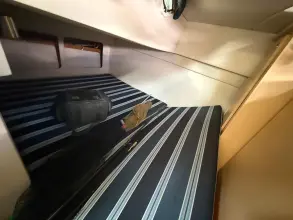 Thumbnail von Bayliner 335 Cruiser Firefly