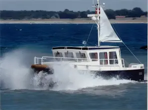 Thumbnail von Pedro Donky 30