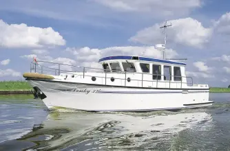 Thumbnail von Pedro Donky 37