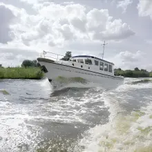 Thumbnail von Pedro Donky 37