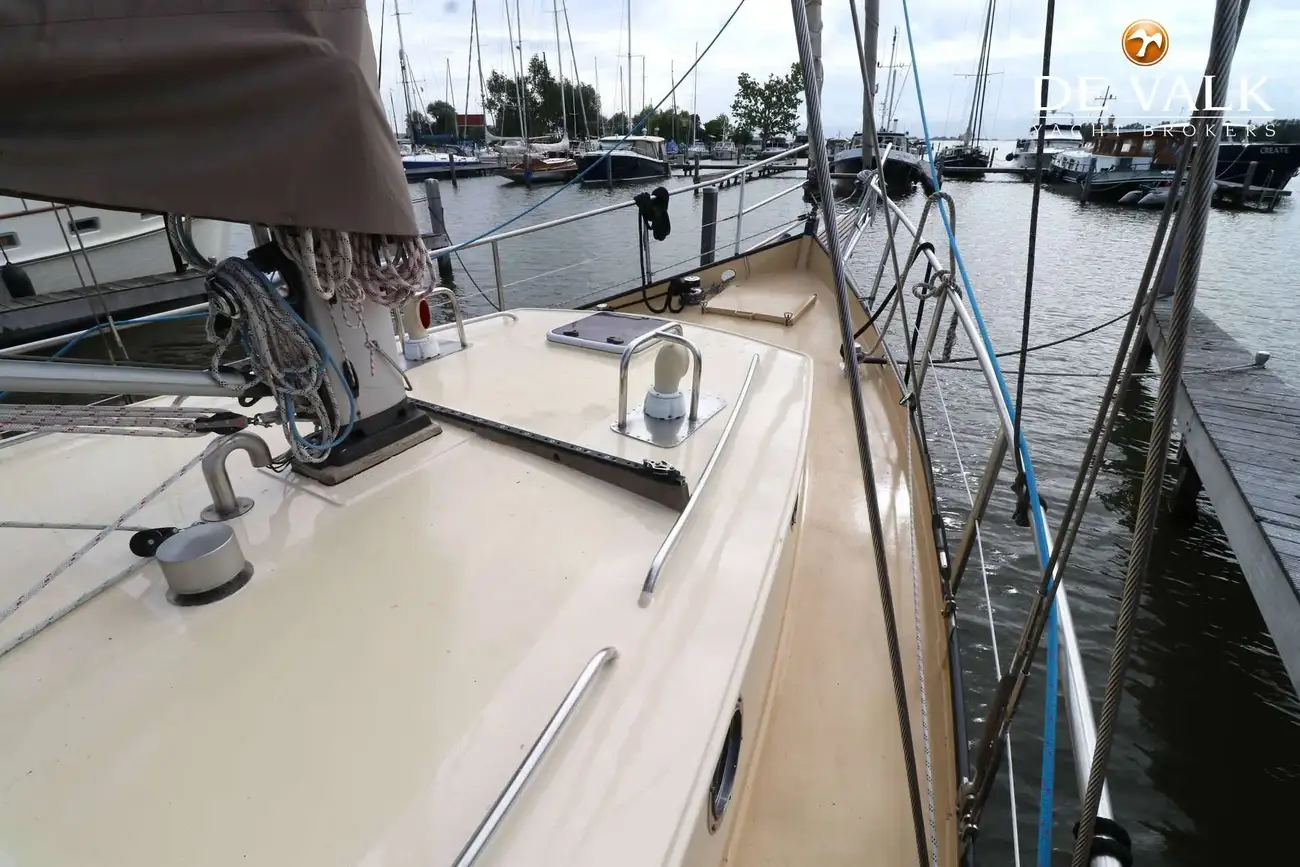 Thumbnail von Danish Rose 42