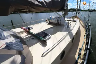 Thumbnail von Danish Rose 42