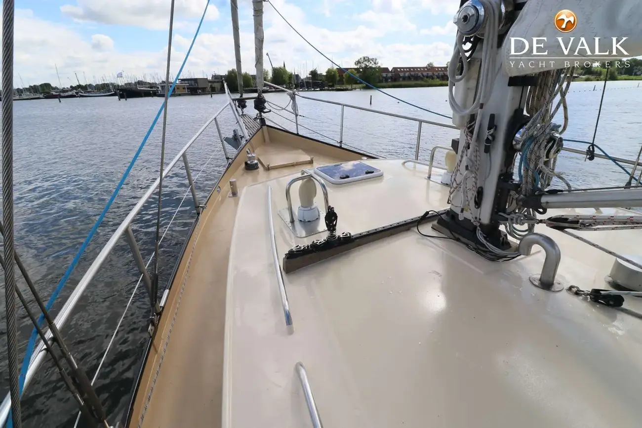 Thumbnail von Danish Rose 42