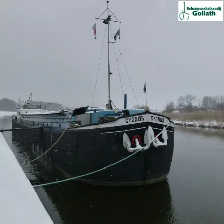 Tol Spitsgatkotter 38.86 Cygnus