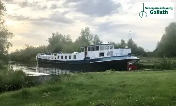 Thumbnail von Luxe Motor 35.00 Meerval