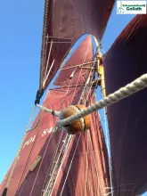 Thumbnail von Sk Kotter 23.57  Olander