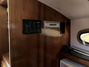 Thumbnail von Mathews Patriot 29  Claw